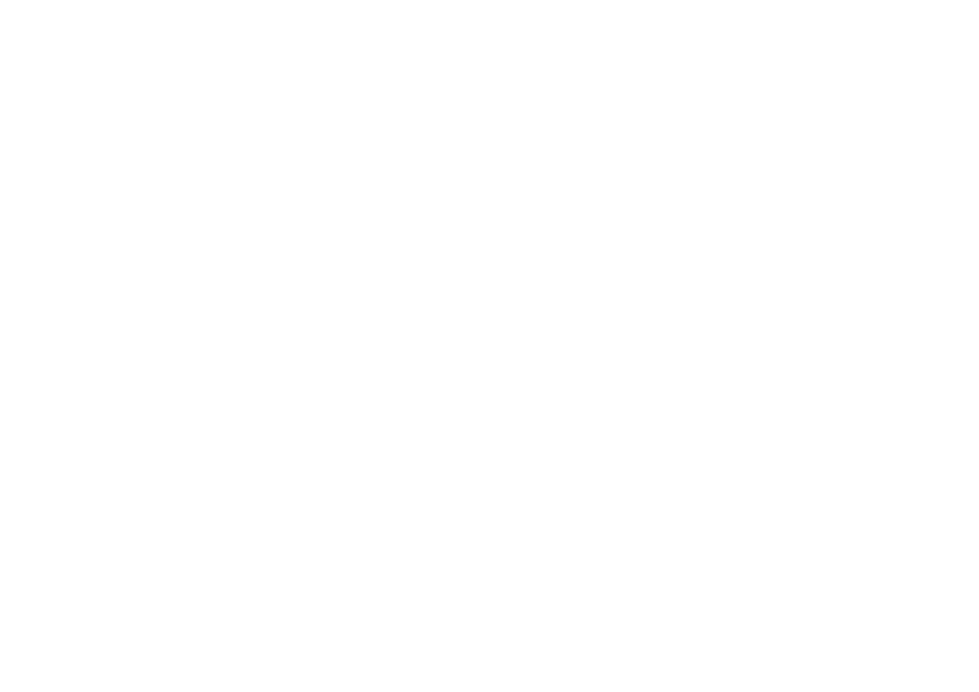 wizdom_logo_transparent1